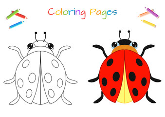 Funny little ladybug beetle. Copy the picture. Coloring book. Educational game for children. Cartoon vector illustration