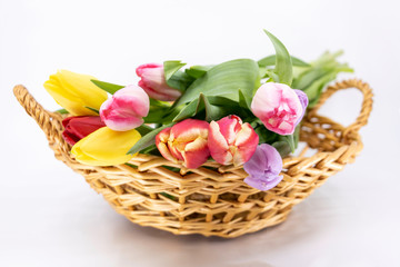 Fototapeta na wymiar Vue de face d'un bouquet de tulipe pour le printemps et fêtes de Pâques