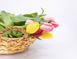 Ressource graphique, arrivée du printemps bouquet de tulipes