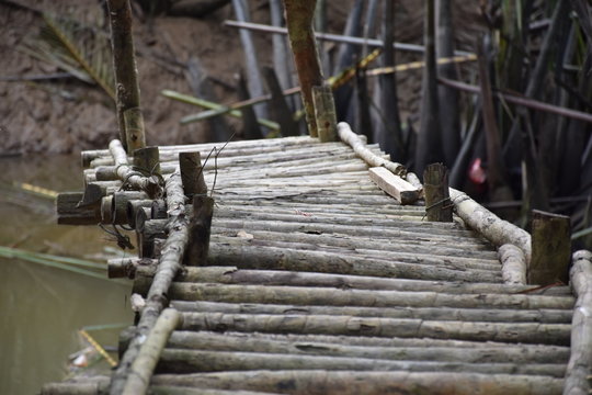 local bridge in mangrove forest
