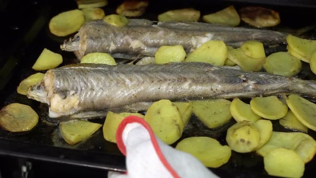 Male hand taking fresh hot dish of fish and potato from oven