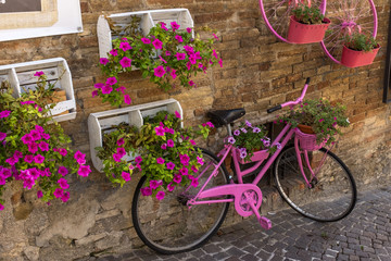 Fototapeta na wymiar An old fashioned cycle, painted pink and leaning against a wall surrounded by flower boxes with pin blooming flowers
