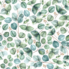 Seamless floral pattern with eucalyptus on a white background