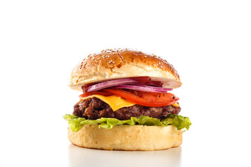 burger on a white background close up