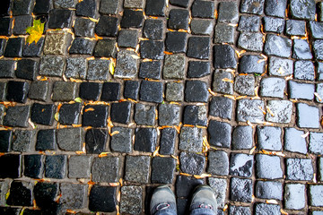 Gray Sneakers on the Paved Sidewalk in Autumn Among the Fallen Yellow Leaves from Above.