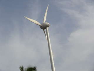 Pavan Chakki-Wind Turbine