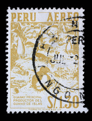 Stamp printed in Peru shows Guanay - Phalacrocorax bougainvillii, circa 1962