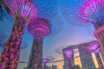 Fotobehang Singapore, Gardens by the Bay, HDR image © mehdi33300