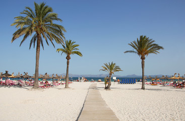Sandy beach with palm trees, Alcudia, Mallorca, Spain.