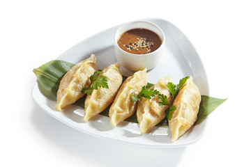 Oriental Fried Dim Sum, Gyoza, Dim Sum or Jiaozi Isolated