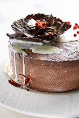 Round Whole Chocolate Cake Decorated with Dark and White Chocolate Close Up