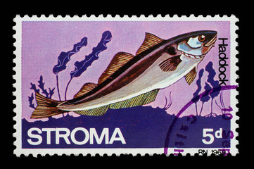Stamp issued in Stroma shows Haddock circa 1969.