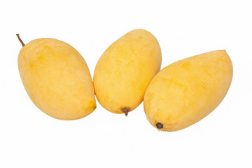Yellow mango isolated on the white background