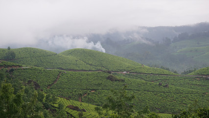 natural and hill station