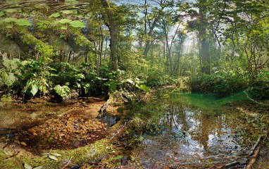 Nationalpark Biogradska, Montenegro