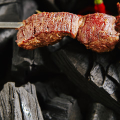 Hot Grilled Beef Kebab or Barbecue Shashlik on Charcoal Background with Herbs and Spices Closup