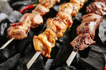Set of Shish Kebabs or Barbecue Shashlik Collection on Charcoal Background with Herbs and Spices