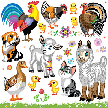set of cartoon farm animals . Collection for baby and little kid. Vector illustrations isolated on white background