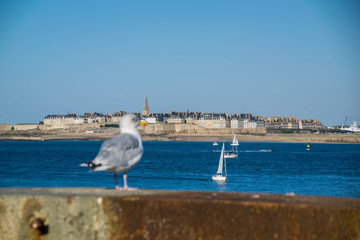 Saint-Malo vue de Dinard