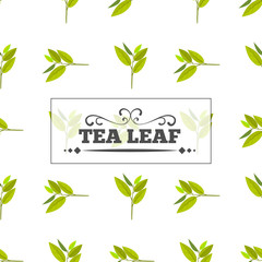 Tea leaf Seamless pattern for your background. Young May month leaf crop. Flat vector illustration.