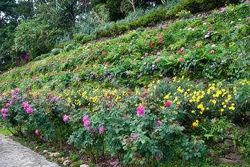 Chiang Mai Thailand, tiered flowerbed in mae fah luang garden