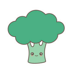cute cartoon vector happy broccoli isolated on white background