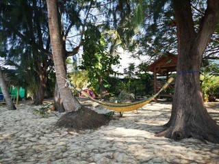 beach hammock