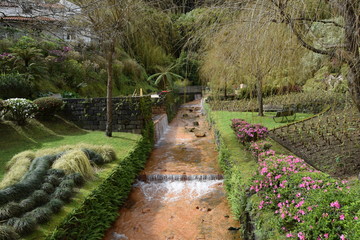 A&ccedil;ores Potugal