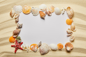 Obraz premium frame of seashells near blank placard on sandy beach