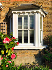 Fototapeta na wymiar Traditional house architecture in springtime with beautiful blossoming rose tree in London