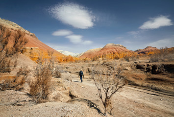 Fototapeta na wymiar Photographer in the desert