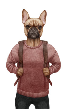 Animals dressed up in human clothing. Portrait of a Dog Boy. Hand-drawn illustration of French Bulldog, digitally colored.