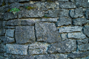 The background of stone mountains in the open air in the Carpathian Mountains