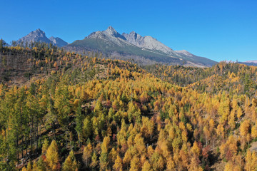 Fototapeta premium mountains on a sunny day with forest in colors of autumn