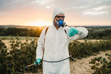 Weed control. Industrial agriculture theme. Man spraying toxic pesticides or insecticides on fruit growing plantation. Natural hard light on sunny day.