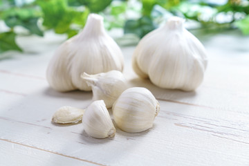 食材 にんにく