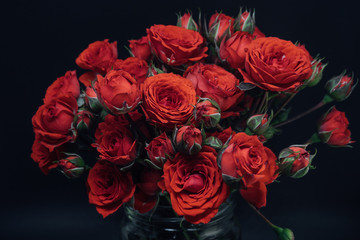 red miniature rose bouquet on black background 