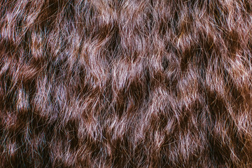 Brown hair close up. Textures and background