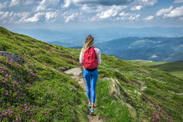 Fototapeta premium Traveler girl or woman with backpack walking hike path in mountains. Summer flowers rue outside