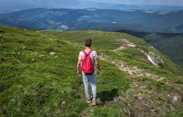 Naklejka na ściany i meble Traveler man with backpack is walking summer mountain. Green background, outdoor