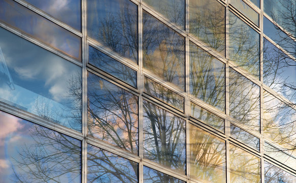 Architectural mirror glass skyscraper sunset nature sky tree reflection