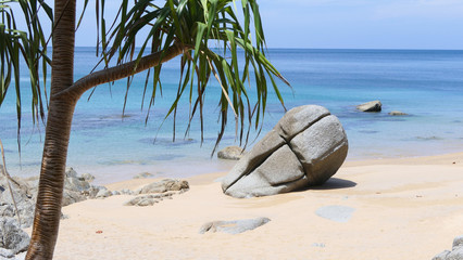 coconut trees at nui beach Phuket Thailand