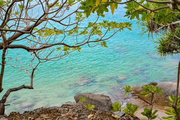 View of the blue sea water and stones through the branches of trees