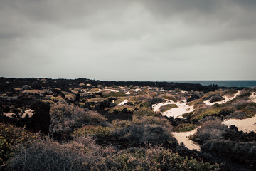 Black and White beach