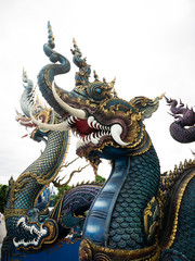 Fototapeta premium Pattern of Blue Naga Head