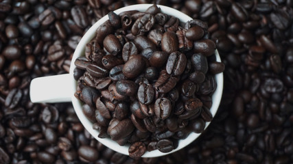 Aceh gayo coffee for life