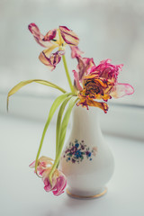 flowers in a vase