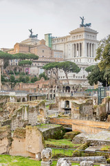 Fototapeta na wymiar Traian Forum ruins in Rome