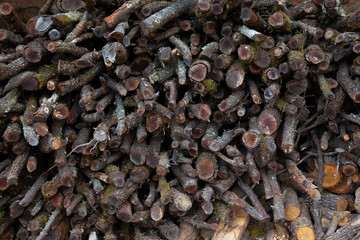 image of overgrown wooden trunks prepared to burn