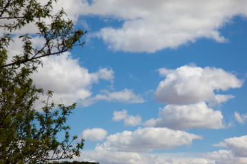 spring sky with white clouds and blue sky.
